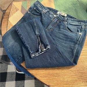 Amo by Anthropologie size 28